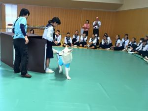 高１人権学習　バリアフリー社会を考える