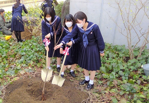 記念植樹